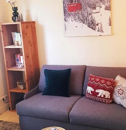 Studio Central, Quartier Brevent, Garage Prive.